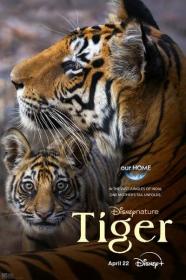 Tiger 2024 1080p WEB h264-EDITH[TGx]