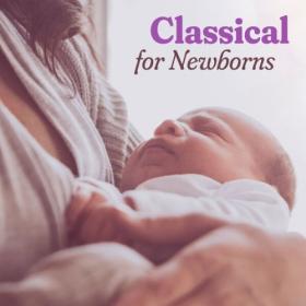 Various Artists - Classical for Newborns (2024) Mp3 320kbps [PMEDIA] ⭐️