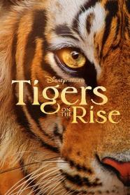 【高清影视之家发布 】老虎崛起[简繁英字幕] Tigers on the Rise 2024 1080p DSNP WEB-DL DDP5.1 H264-BATWEB