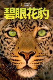 【高清影视之家发布 】碧眼花豹[简繁英字幕] Jade Eyed Leopard 2020 1080p DSNP WEB-DL DDP5.1 H264-BATWEB