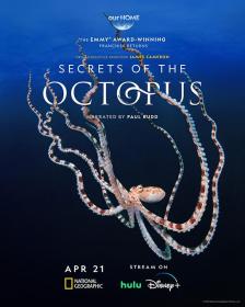【高清剧集网发布 】章鱼的秘密[全3集][简繁英字幕] Secrets of the Octopus S01 2024 1080p DSNP WEB-DL DDP5.1 H264-LelveTV