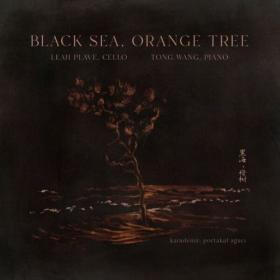Leah Plave - Black Sea Orange Tree (2024) [24Bit-96kHz] FLAC [PMEDIA] ⭐️