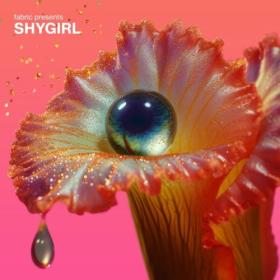 Shygirl - fabric presents Shygirl (DJ Mix) (2024) [24Bit-44.1kHz] FLAC [PMEDIA] ⭐️