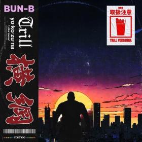 Bun B - YOKOZUNA TRILL (2024) Mp3 320kbps [PMEDIA] ⭐️