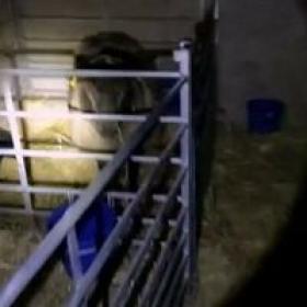 Our Dream Farm with Matt Baker S01E04 HDTV x264-TORRENTGALAXY[TGx]