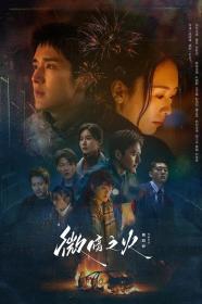 【高清剧集网发布 】微暗之火[第01-03集][国语配音+中文字幕] Gone with the Wind S01 2024 1080p WEB-DL H264 DDP5.1-LelveTV