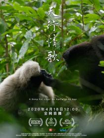 【高清影视之家发布 】天行情歌[国语配音+中文字幕] A Song for Love An Ape with an App 2020 2160p WEB-DL H264 AAC-SONYHD