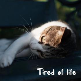 V A  - Tired Of Life (2024 Pop) [Flac 16-44]