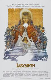 【高清影视之家发布 】魔幻迷宫[简繁英字幕] Labyrinth 1986 BluRay 1080p TrueHD 7.1 x264-DreamHD