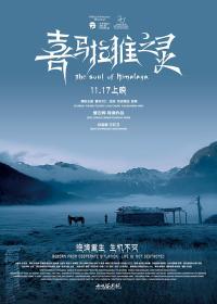 【高清影视之家发布 】喜马拉雅之灵[国语配音+中文字幕] The Soul of Himalaya 2017 1080p WEB-DL H264 DTS 5.1-DreamHD