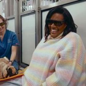 For the Love of Dogs with Alison Hammond S12E03 HDTV x264-TORRENTGALAXY[TGx]