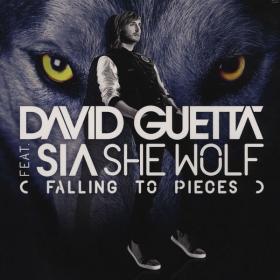 David Guetta - She Wolf (Falling To Pieces) (Feat  Sia) [2012]  (1080p) x264 [VX] [P2PDL]