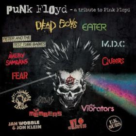 Various Artists - Punk Floyd - A Tribute To Pink Floyd (2024) [16Bit-44.1kHz] FLAC [PMEDIA] ⭐️