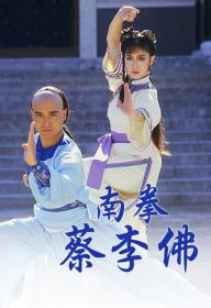 【高清剧集网发布 】南拳蔡李佛[全20集][无字片源] The Rise Of A Kung Fu Master S01 1988 1080p MyTVSuper WEB-DL H265 AAC-LelveTV