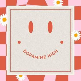 Various Artists - Dopamine High (2024) Mp3 320kbps [PMEDIA] ⭐️