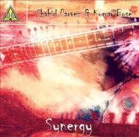 Shahid Parvez & Kumar Bose - Synergy [2CD] (2002) [320]