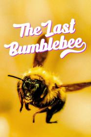 The Last Bumblebee (2024) [720p] [WEBRip] [YTS]