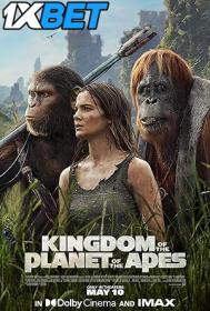 Kingdom of the Planet of the Apes 2024 1080p CAMRip English 1XBET
