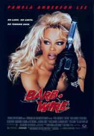 【高清影视之家发布 】越空追击[中文字幕] Barb Wire 1996 CEE BluRay 1080p HEVC 10bit-MOMOHD