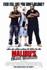 Malibu's Most Wanted (2003)