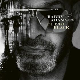 Barry Adamson - Cut To Black (2024) [24Bit-44.1kHz] FLAC [PMEDIA] ⭐️