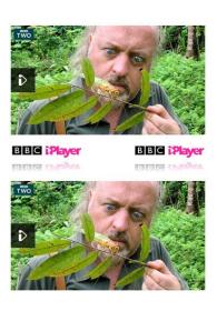 【高清剧集网发布 】比尔·贝利的丛林英雄[第01-2集][中文字幕] Bill Bailey's Jungle Hero S01 2013 1080p WEB-DL H264 AAC-ZeroTV