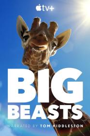 【高清剧集网发布 】巨兽[全10集][简繁英字幕] Big Beasts S01 2023 2160p ATVP WEB-DL x265 HDR DDP5.1 Atmos-ZeroTV