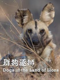 【高清影视之家发布 】群狗逐狮[中文字幕] Dogs in the Land of Lions 2018 1080p WEB-DL H264 AAC-SONYHD