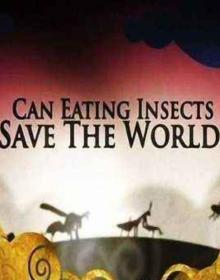 【高清影视之家发布 】吃昆虫能拯救世界吗？[中文字幕] Can Eating Insects Save the World 2013 1080p WEB-DL H264 AAC-SONYHD