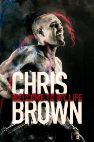 Chris Brown Welcome To My Life (2017) [720p] [BluRay] [YTS]