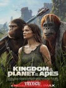 Kingdom of the Planet of the Apes (2024) 1080p Telugu DVDScr - x264 - HQ Clean Aud - 2.6GB