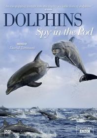 【高清剧集网发布 】卧底海豚帮[第01-2集][中文字幕] Dolphins Spy in the Pod S01 2014 1080p WEB-DL H264 AAC-ZeroTV