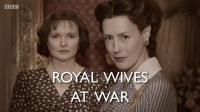 【高清影视之家发布 】战争中的皇家之妻[中文字幕] Royal Wives at War 2016 1080p WEB-DL H264 AAC-SONYHD