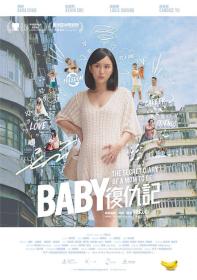 【高清影视之家发布 】Baby复仇记[国语配音+中文字幕] The Secret Diary of a Mom to Be 2024 1080p WEB-DL H264 AAC-DreamHD