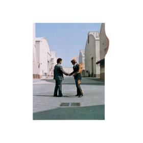 Pink Floyd - Wish You Were Here (1975) [MP3 320] 88