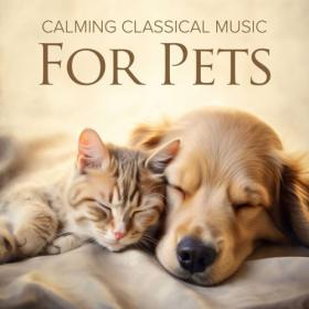 Various Artists - Calming Classical Music for Pets (2024) Mp3 320kbps [PMEDIA] ⭐️