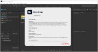 Adobe Bridge 2024 v14.1.0.257 (x64) Multilingual Pre-Activated