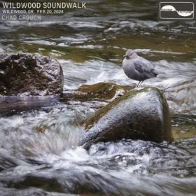 Chad Crouch - Wildwood Soundwalk (2024) [24Bit-96kHz] FLAC [PMEDIA] ⭐️