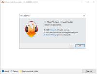 DLNow Video Downloader v1.53.2024.05.30 Multilingual Portable