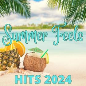 V A  - Summer Feels - Hits 2024 (2024 Pop) [Flac 16-44]