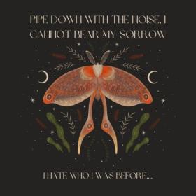 Various Artists - Pipe down with the noise I cannot bear my sorrow I hate who I was before (2024) Mp3 320kbps [PMEDIA] ⭐️