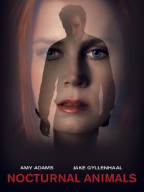 Nocturnal Animals (2016) 720p 10bit BluRay [Hindi DDP 5.1 + English AAC 5.1] Dual Audio HEVC x265 ESub ~ R∆G∆ [ProtonMovies]