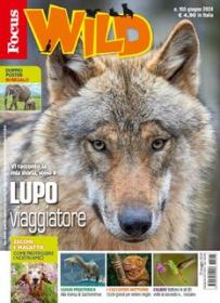 Focus Wild N 155 (Giugno 2024)