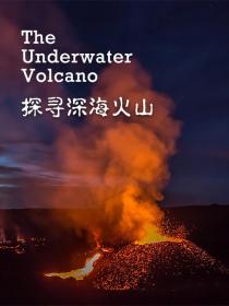 【高清影视之家发布 】探寻深海火山[中文字幕] The Underwater Volcano 2020 1080p WEB-DL H264 AAC-SONYHD