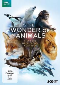 【高清剧集网发布 】神奇动物大揭秘[全6集][中文字幕] The Wonder of Animals S01 2014 1080p WEB-DL H264 AAC-ZeroTV