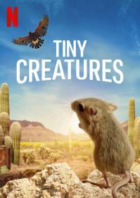 【高清剧集网发布 】微观世界[全8集][简繁英字幕] Tiny Creatures S01 2020 1080p NF WEB-DL x264 DDP5.1-ZeroTV