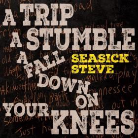 Seasick Steve - A Trip A Stumble A Fall Down On Your Knees (2024) [24Bit-96kHz] FLAC [PMEDIA] ⭐️