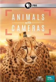 【高清剧集网发布 】假如动物会摄影[全3集][中文字幕] Animals With Cameras S01 2018 1080p WEB-DL H265 AAC-ZeroTV