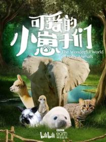 【高清剧集网发布 】可爱的小崽子们[全6集][中文字幕] The Wonderful World of Baby Animals S01 2019 2160p WEB-DL H264 AAC-ZeroTV