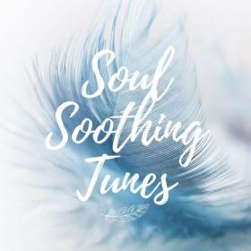 Various Artists - Soul Soothing Tunes (2024) Mp3 320kbps [PMEDIA] ⭐️